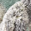 Arden Power Loom Teal/Grey Rug-60066506