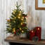 Happy Hill Pine Tree