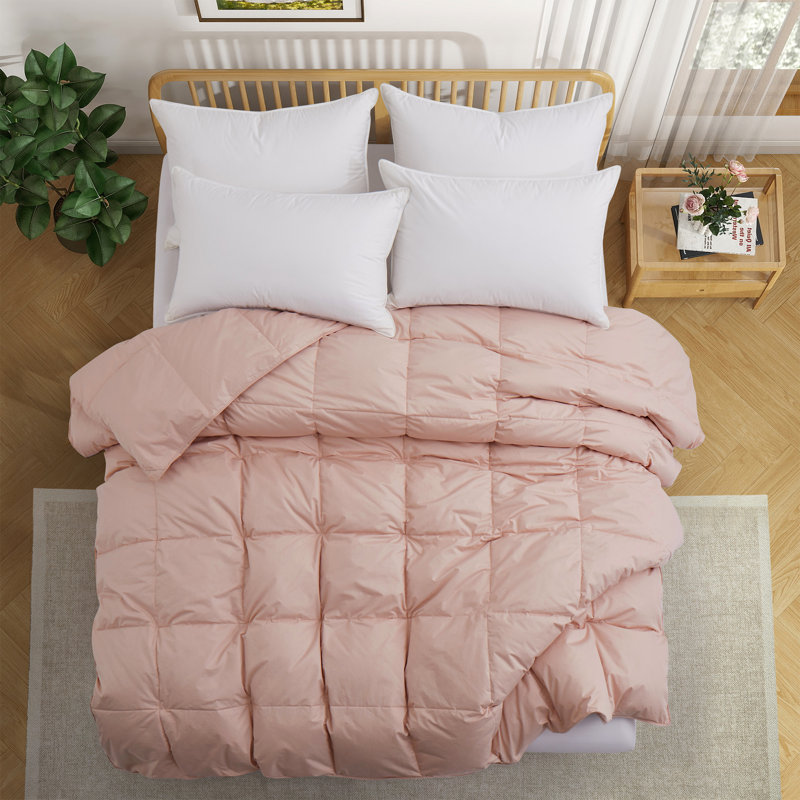 All Season Cotton Down Comforter/Duvet Insert, Twin Comforter, Pink
