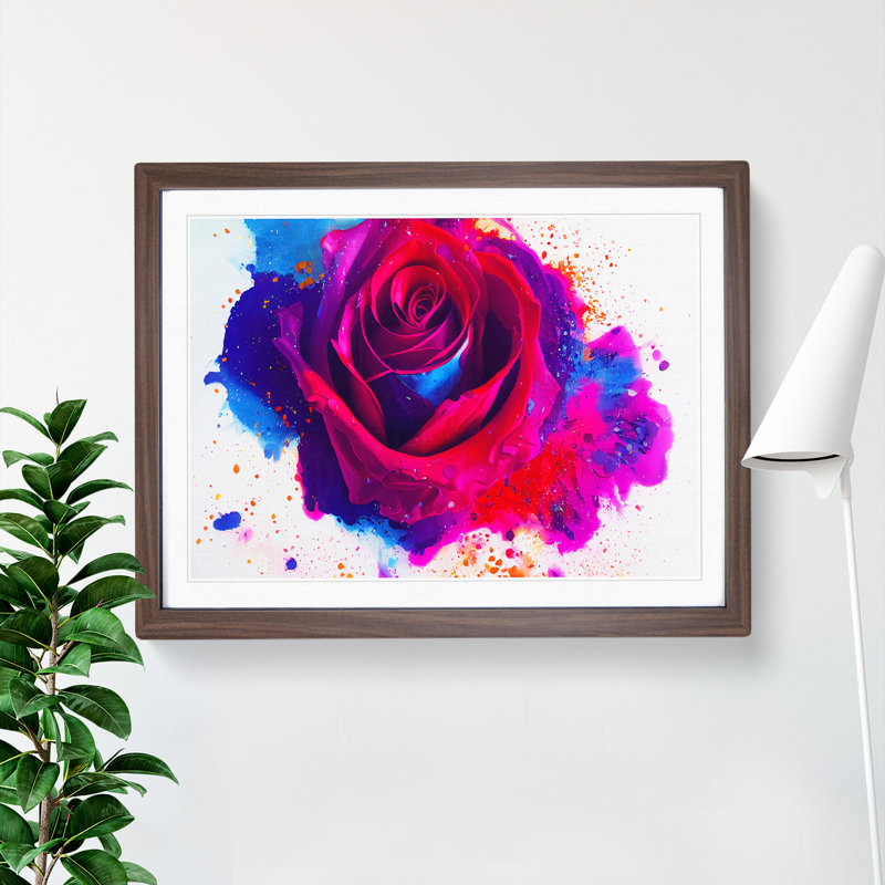 Rose Flower Splash Vol.1 Abstract - Single Picture Frame Print, 34cm H x 46cm W x 2cm D, Walnut Framed
