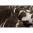 Wool Oriental Indoor Rug