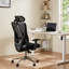 Chaise de bureau ergonomique Lajace-1639475747