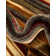 Tapis beige Ivetta