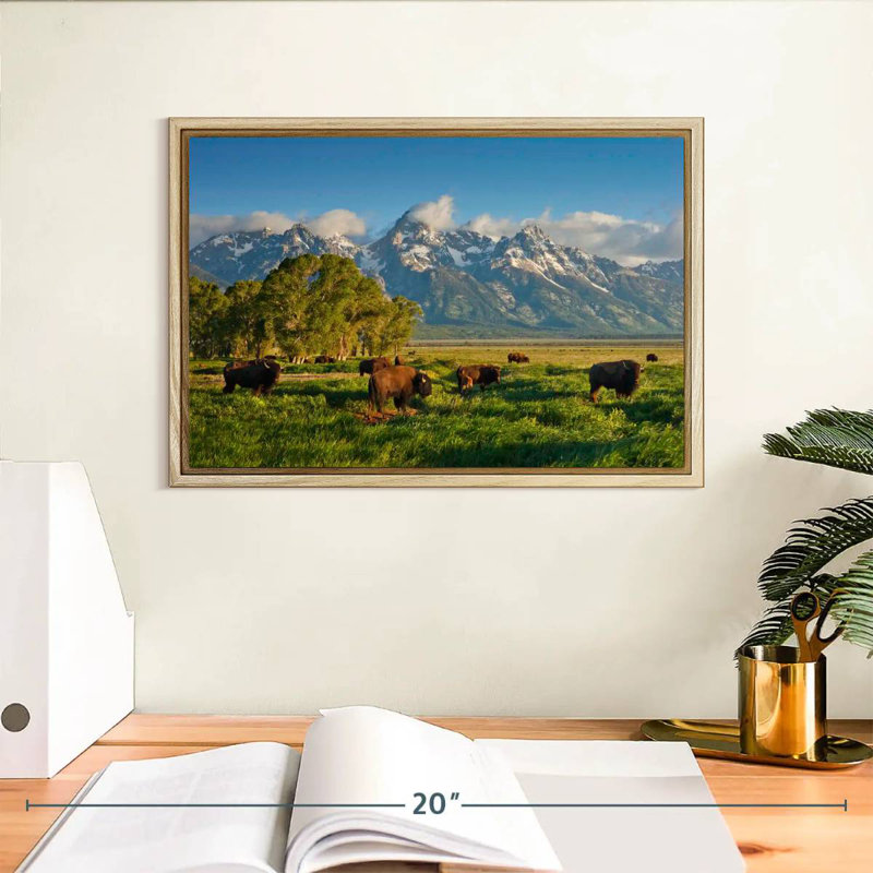 Bison de Grand Teton, Cadre flottant en bois naturel, 13 po x 9 po
