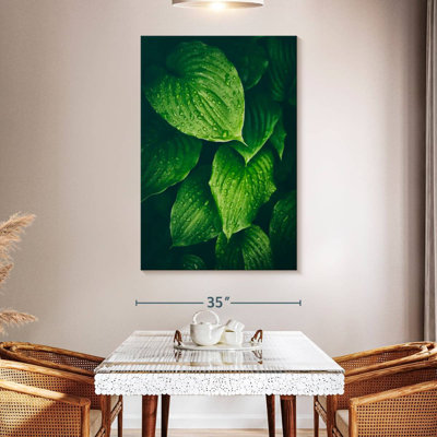 Harnek Soaked Green Leaves
