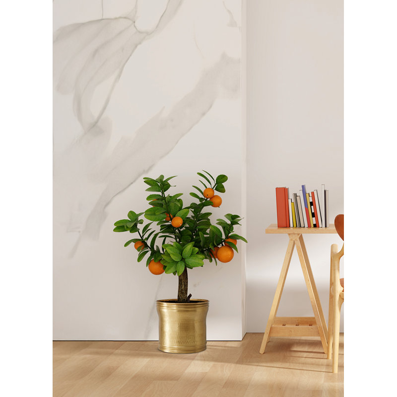 Rajani Hammered Aluminum Planter – Decorative Indoor Plant Pot With Textured Finish, Antique Cachepot For Home, Office, Event Décor, Gift Idea