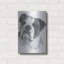 «American Bulldog» par Barbara Keith-2031758250