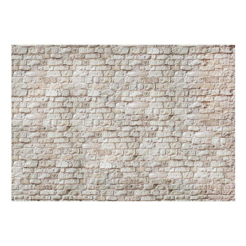 Papier peint Bulma, L 110 po x l 154 po