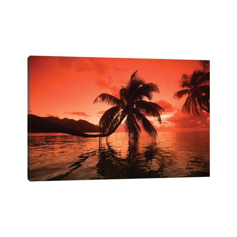 Palm Trees At Sunset, Moorea, Tahiti, French Polynesia II - Wrapped Canvas Print, 20.32 cm H x 30.48 cm W
