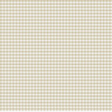 Little Explorers 2 Two Tone Gingham Wallpaper Roll