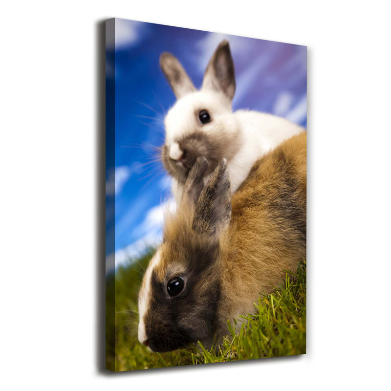Two Rabbits - Wrapped Canvas Print