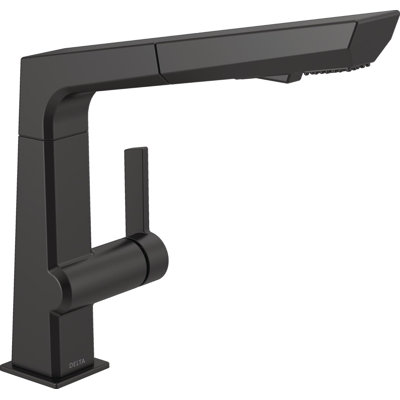 Pivotal Pull-Out Kitchen Faucet