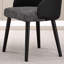 Black Modern Casual Sponge Dining Chairs
