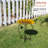 Iron Mosaic Birdbath