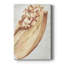 «Vintage Shell Vignette I» - Cavas-1049040048