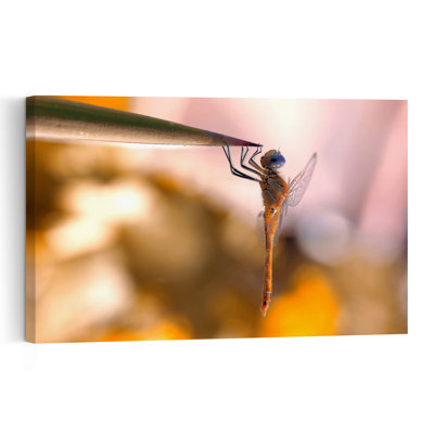 Hanging Blue-Eyed Dragonfly Contemporary Dragonfly Wall Art Print by Thierry Dufour - Print