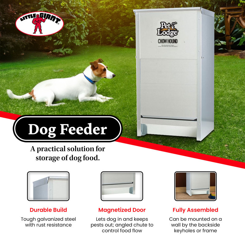 Automatic Feeder
