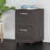 Studio C 16'' Wide 2 -Drawer Mobile File Cabinet