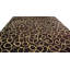 One-of-a-Kind 10' X 14' Area Rug
