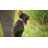 Kennelmaster Remote Controlled Dog Training Collar