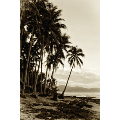 Island Palms I - Wrapped Canvas Print