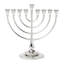 Roseland Menorah-2106433019