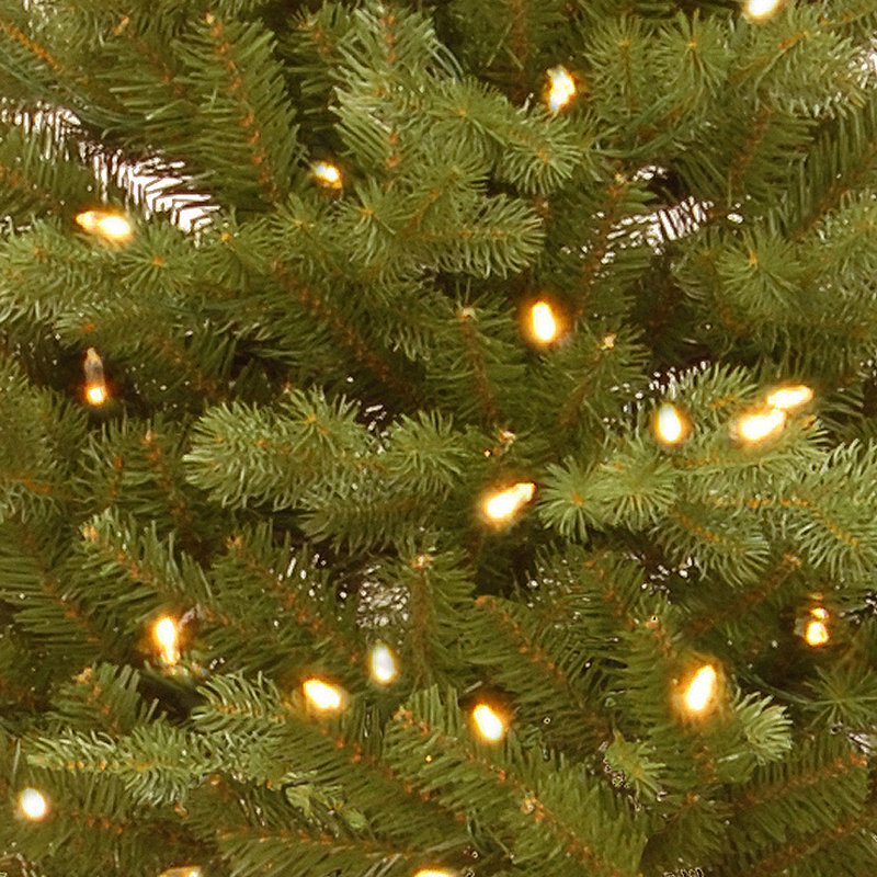 The Holiday Aisle® 3ft. Hampton Spruce Tree with Clear Lights