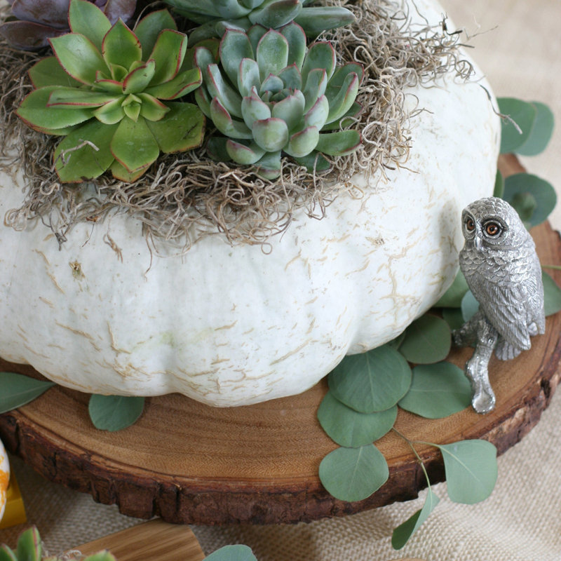 Harvest Cake Stand