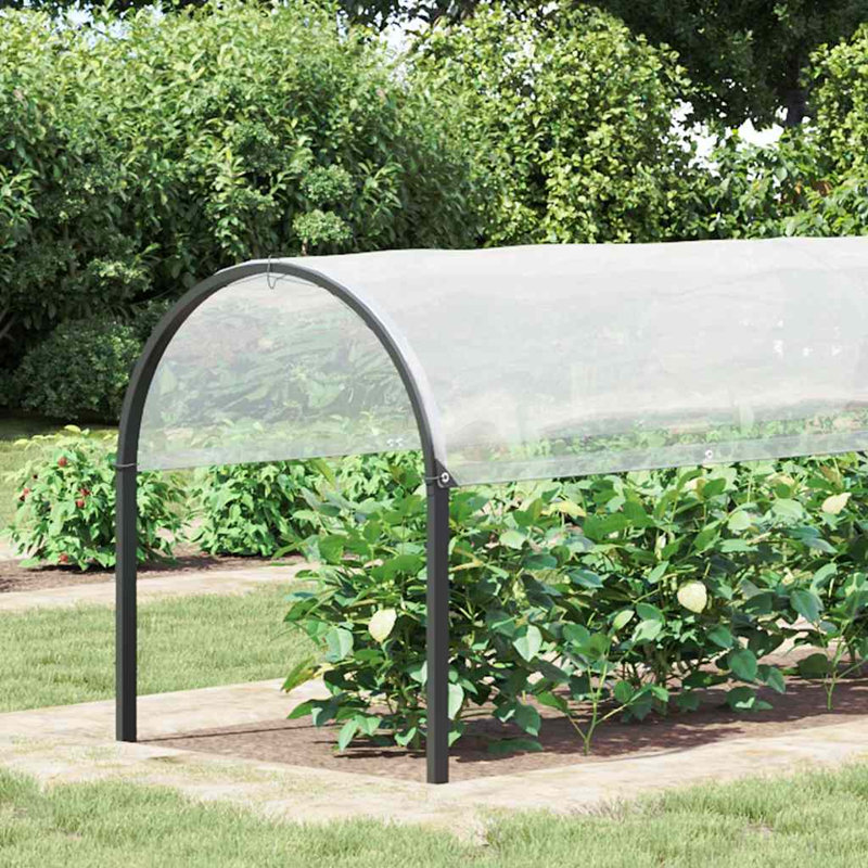 Couvre-plante Vidaxl transparent et noir, L 118,1 po x P 78,7 po, Blanc