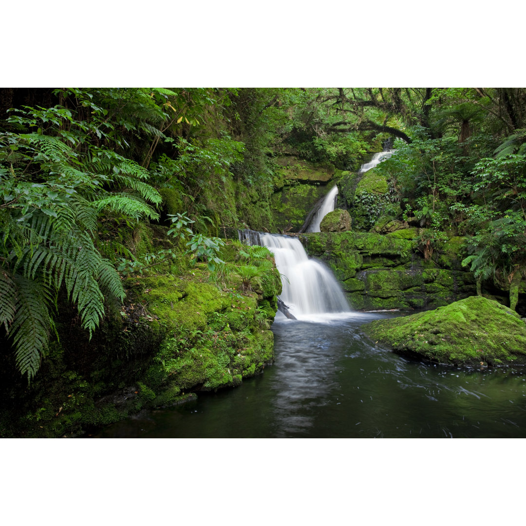 Wasserfall im Regenwald von Alkalyne - Kunstdrucke auf Leinwand ohne Rahmen