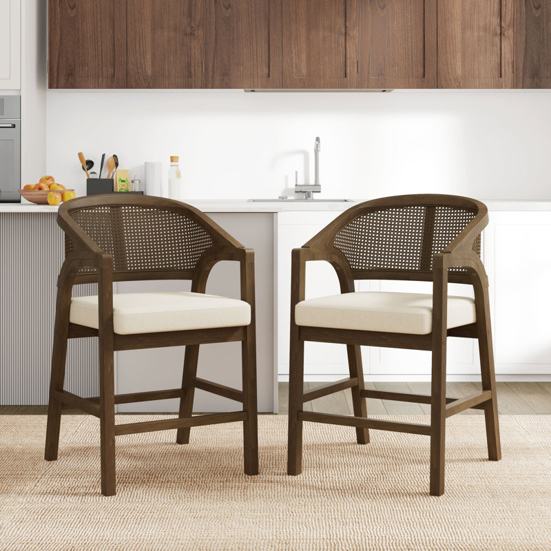 Terry 24.25” Seat Height Pe Rattan Counter Stools With Rubberwood Frame, Walnut