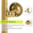 Chanquet Metal Wall Mirror with Tilted Frame-2002304853