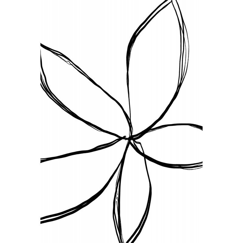 Wrapped Canvas Print, 50.8 cm H x 76.2 cm W