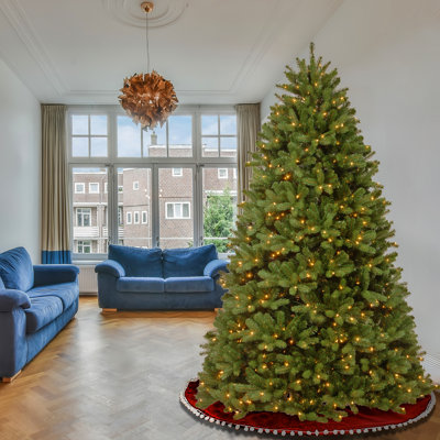 Newberry Spruce Tree with Clear Lights