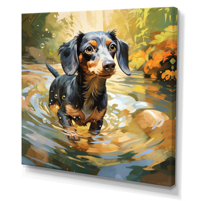 " Cute Dachshund Playing In The River I "