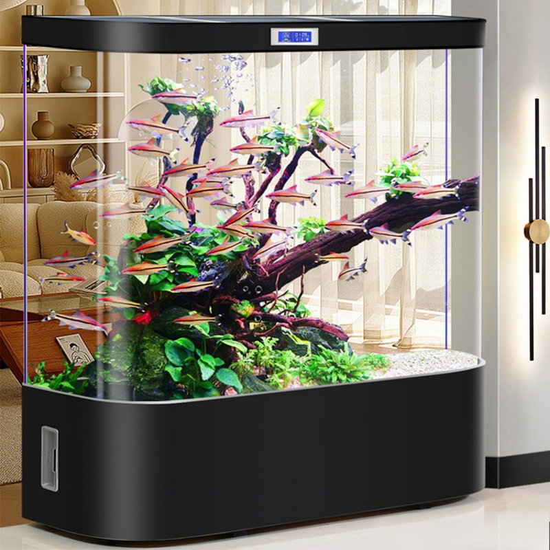Aquarium de 39,37 po de taille moyenne sans filtre, avec réservoir noir, H 54,33 po x l 39,37 po x P 19,69 po