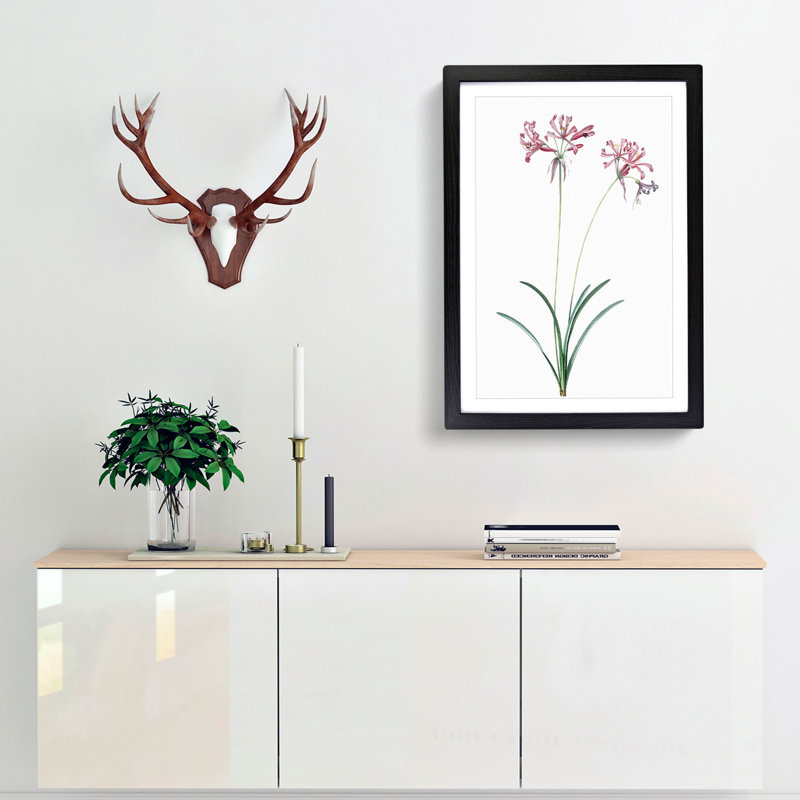 Nerine Lily Flowers by Pierre-Joseph Redoute - Framed Print, 36cm H x 27cm W x 2cm D, Black Framed