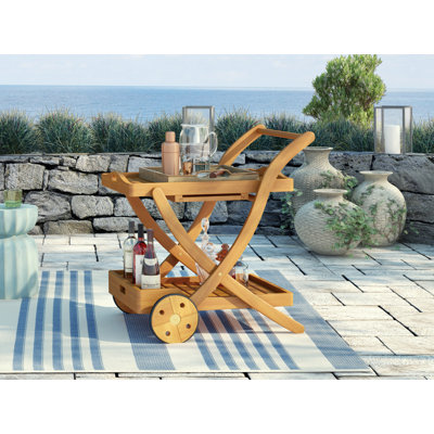 Afrin Dakota Fields Bar Cart with Solid Wood Outer Material
