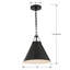 Luminaire suspendu conique à 1 lumière Kinston-137558061-137558063