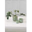 Pot Everleaf - grand