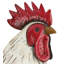 Statue de jardin en métal Verde Rooster-1645474842