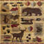 2 pi. X 3 pi Tapis Lodge