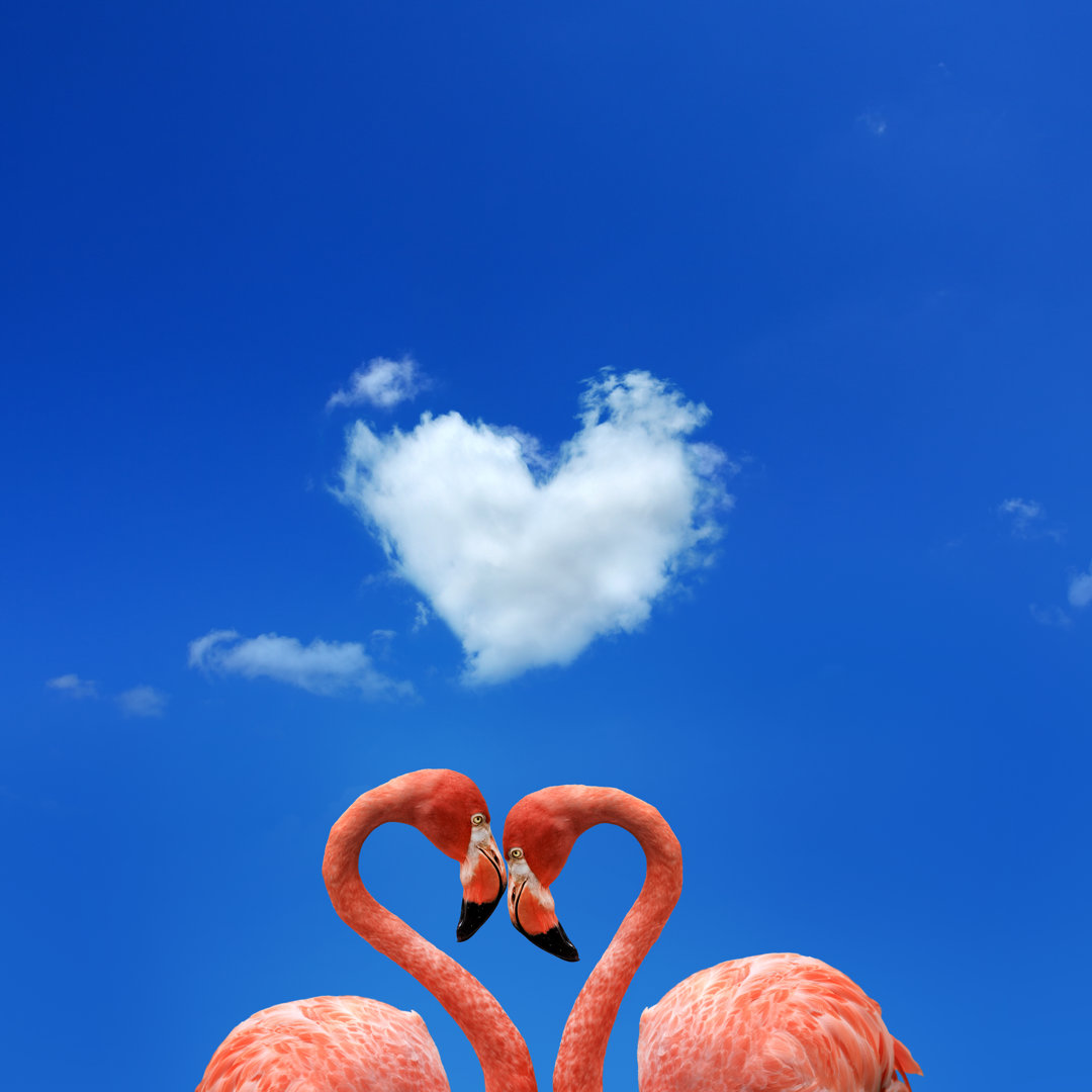 Conceptual Two Flamingos Over Blue Sky von Imagedepotpro - Leinwandbild