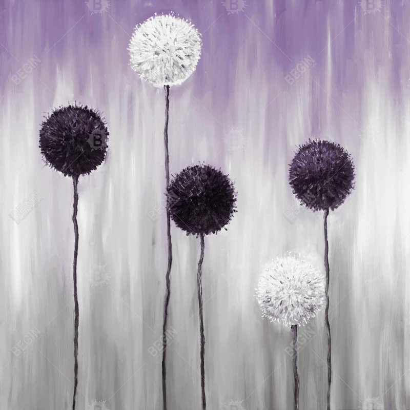 "Fleurs d'allium mauves et blanches"