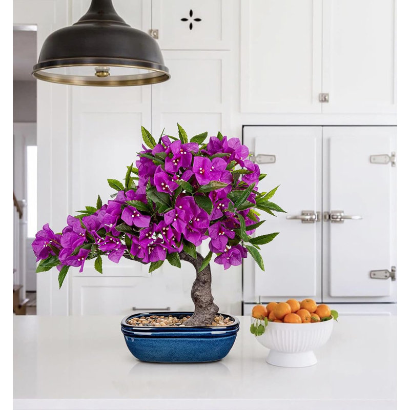 46.99cm Plant