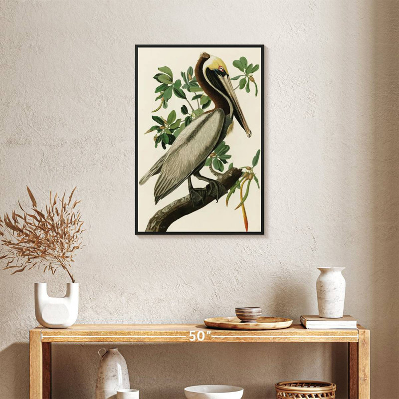 Pélican Audubon, Cadre flottant noir, 21 po x 31 po