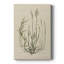 Lin Herbes I -Galerie enveloppée Cavas-108844046