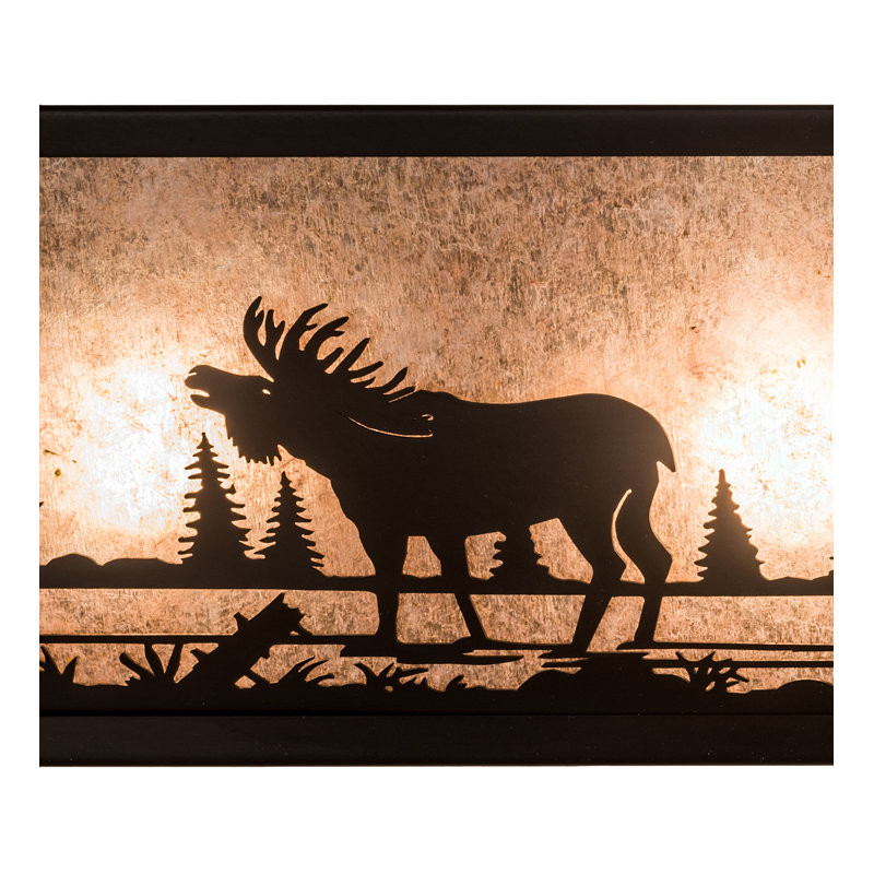 Barre d'éclairage de salle de bain 4 lumières Moose at Lake, Argent, A19