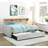 1Pc Light Gray Daybed With Pull-Out Trundle Bookcase Side Panel Charging Ports Nailhead Trim Modern Design Furniture