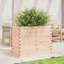 Amiela Planter Box-918828452-918828502